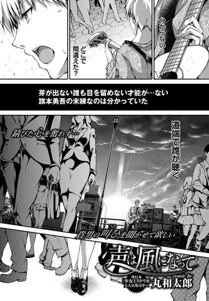 【声は風になって】 パッケージ画像