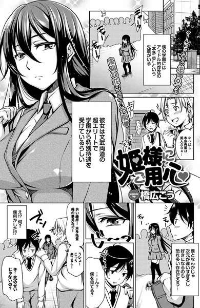 【姫様にご用心】 パッケージ画像